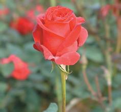 ������Դ�����ƾ���Ƶ��̨��������Ҹ�����˾�����˺Ʊ ����28������...